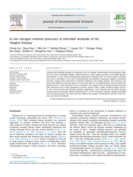 In Situ Nitrogen Removal Processes in Intertidal Wetlands of the Yangtze Estuary