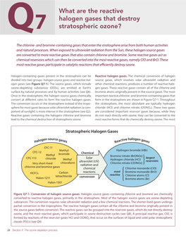 What Are the Reactive Halogen Gases That Destroy Stratospheric Ozone?