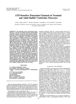 ATP-Sensitive Potassium Channels in Neonatal and Adult Rabbit Ventricular Myocytes