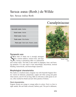 Saraca Asoca (Roxb.) De Willde