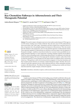 Key Chemokine Pathways in Atherosclerosis and Their Therapeutic Potential