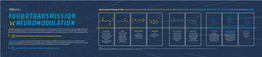 009-Neuromodulation Vs Neurotransmission-V5