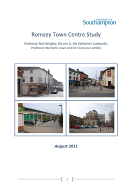 Romsey Town Centre Study, University of Southampton, 2011
