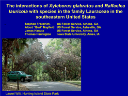 The Interactions of Xyleborus Glabratus and Raffaelea Lauricola with Species in the Family Lauraceae in the Southeastern United States