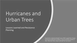 Hurricanes and Urban Trees