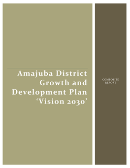 Amajuba District Growth and Development Plan 'Vision 2030'