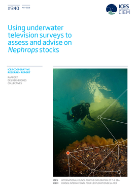 Using UWTV Surveys to Assess and Advise on Nephrops Stocks | I