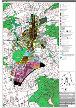 Plan D'aménagement Général - Localité De Hosingen