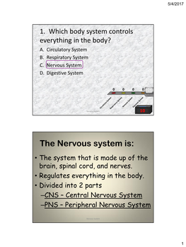The Nervous System Is