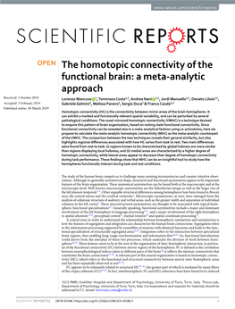 The Homotopic Connectivity of the Functional Brain