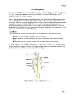 Viral Pathogenesis Viral Entry