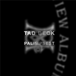 Tad Beck: Palimpsest, Text by Michael Ned Holte