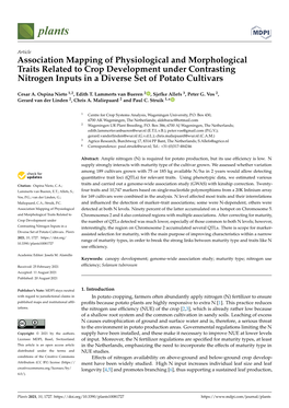 Association Mapping of Physiological and Morphological Traits Related to Crop Development Under Contrasting Nitrogen Inputs in a Diverse Set of Potato Cultivars