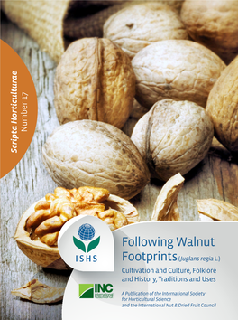 Following Walnut Footprints(Juglans Regial.)