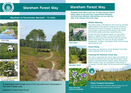 Wareham Forest Way Wareham Forest Way