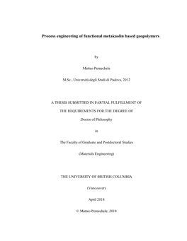 Process Engineering of Functional Metakaolin Based Geopolymers