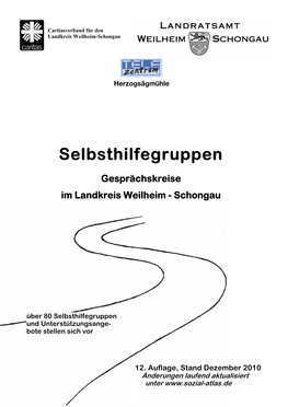 Selbsthilfegruppen (PDF)