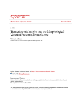 Transcriptomic Insights Into the Morphological Variation Present in Bromeliaceae Victoria A