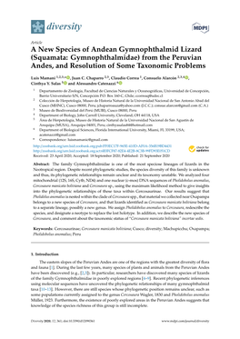 A New Species of Andean Gymnophthalmid Lizard (Squamata: Gymnophthalmidae) from the Peruvian Andes, and Resolution of Some Taxonomic Problems