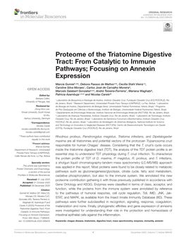 Proteome of the Triatomine Digestive Tract: from Catalytic to Immune Pathways; Focusing on Annexin Expression