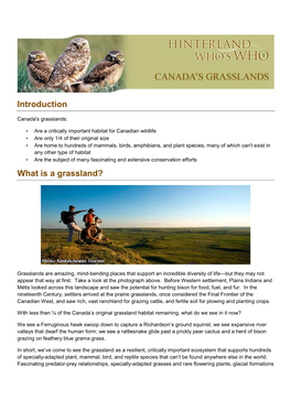 Grasslands Factsheet (PDF)