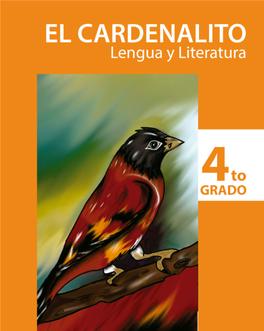 Lengua Y Literatura 4GRADO