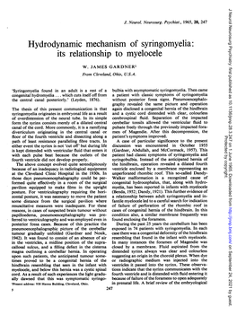 Hydrodynamic Mechanism of Syringomyelia: Its Relationship to Myelocele