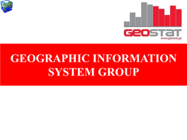 Geographic Information System Group Basic Directions of Work