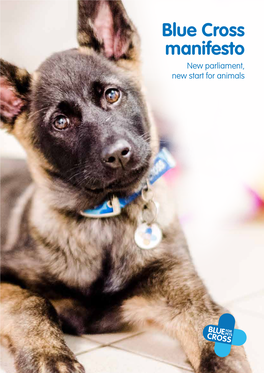 Blue Cross Manifesto New Parliament, New Start for Animals Introduction