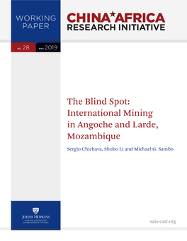 International Mining in Angoche and Larde, Mozambique