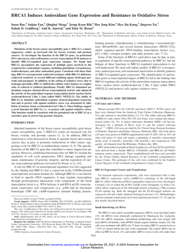 BRCA1 Induces Antioxidant Gene Expression and Resistance to Oxidative Stress