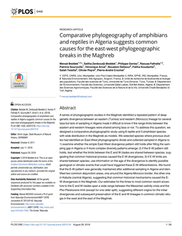 Comparative Phylogeography of Amphibians and Reptiles in Algeria Suggests Common Causes for the East-West Phylogeographic Breaks in the Maghreb