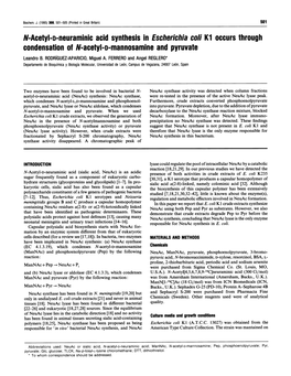 N-Acetyl-D-Neuraminic Acid Synthesis in Escherichia Coli Ki Occurs Through Condensation of N-Acetyl-D-Mannosamine and Pyruvate Leandro B