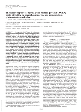 The Neuropeptide Y/Agouti Gene-Related Protein (AGRP) Brain Circuitry in Normal, Anorectic, and Monosodium Glutamate-Treated