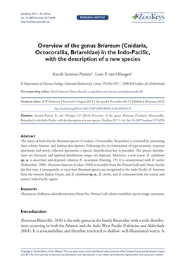 ﻿Overview of the Genus Briareum (Cnidaria, Octocorallia, Briareidae