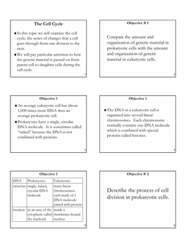 Describe the Process of Cell Division in Prokaryotic Cells