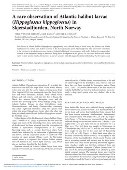 A Rare Observation of Atlantic Halibut Larvae (Hippoglossus Hippoglossus)In Skjerstadfjorden, North Norway Terje Van Der Meeren1, Geir Dahle2 and Ole I