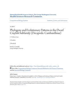 Phylogeny and Evolutionary Patterns in the Dwarf Crayfish Subfamily (Decapoda: Cambarellinae) C