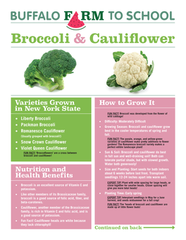 Broccoli & Cauliflower