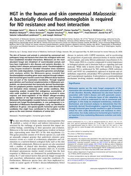 HGT in the Human and Skin Commensal Malassezia: a Bacterially Derived Flavohemoglobin Is Required for NO Resistance and Host Interaction