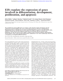 E2fs Regulate the Expression of Genes Involved in Differentiation, Development, Proliferation, and Apoptosis