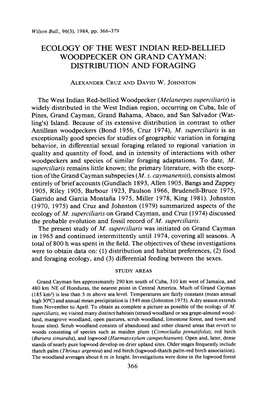 Ecology of the West Indian Red-Bellied Woodpecker on Grand Cayman: Distribution and Foraging