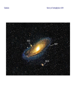 Survey of Astrophysics A110 Galaxies