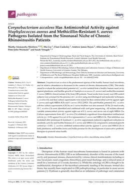 Corynebacterium Accolens Has Antimicrobial Activity Against Staphylococcus Aureus and Methicillin-Resistant S