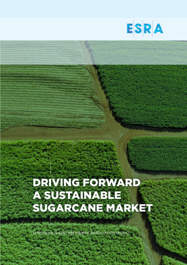 Driving Forward a Sustainable Sugarcane Market