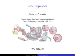 Gene Regulation