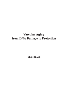 Vascular Aging from DNA Damage to Protection