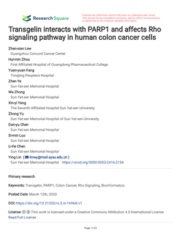 Transgelin Interacts with PARP1 and Affects Rho Signaling Pathway in Human Colon Cancer Cells