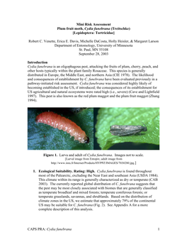 CAPS PRA: Cydia Funebrana 1 Mini Risk Assessment Plum Fruit Moth