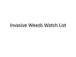 Invasive Weeds Watch List